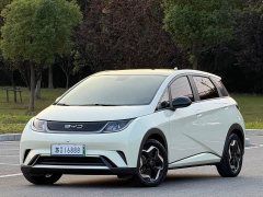 BYD Dolphin 405km Freedom Edition - ფოტო 1