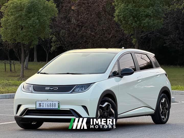 BYD Dolphin 405km Freedom Edition