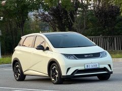 BYD Dolphin 405km Freedom Edition - ფოტო 3