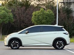 BYD Dolphin 405km Freedom Edition - ფოტო 4