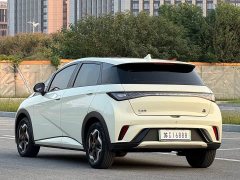 BYD Dolphin 405km Freedom Edition - ფოტო 7