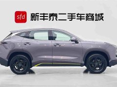 Jetour Jietu Dasheng 2024 1.5T DCT Youth Edition - ფოტო 3