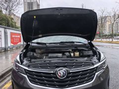 Buick GL8 Land Official Business Class 652T Comfort Edition - ფოტო 18