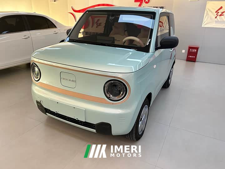 Geely Panda Mini 200km Endurance Edition - ავტომობილი ჩინეთიდან