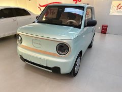 Geely Panda Mini 200km Endurance Edition - ფოტო 1