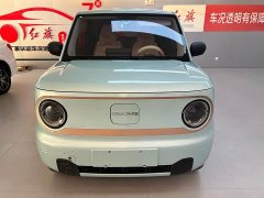 Geely Panda Mini 200km Endurance Edition - ფოტო 2
