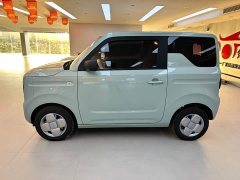 Geely Panda Mini 200km Endurance Edition - ფოტო 5