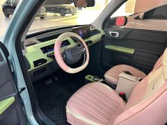 Geely Panda Mini 200km Endurance Edition - ფოტო 7