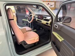 Geely Panda Mini 200km Endurance Edition - ფოტო 9