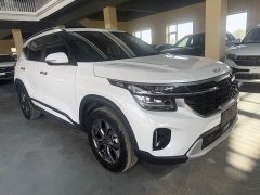 Kia Situs 1.5L CVT Luxury - ფოტო 2