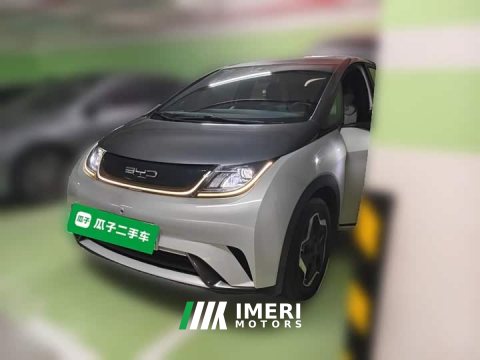 2021 BYD Dolphin 405km Freedom Edition - ავტომობილი ჩინეთიდან