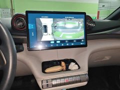 BYD Dolphin 405km Freedom Edition - photo 14