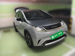 BYD Dolphin 405km Freedom Edition - photo 3