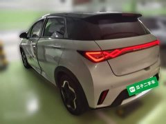 BYD Dolphin 405km Freedom Edition - photo 4