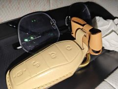 BYD Dolphin 405km Freedom Edition - photo 9