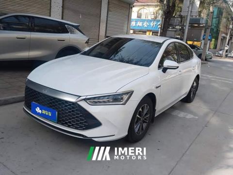 2024 BYD Qin PLUS Glory Edition DM-i 55KM Leading