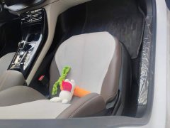 BYD Qin PLUS Glory Edition DM-i 55KM Leading - ფოტო 8