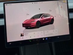 Tesla Model 3 Rear-Wheel Drive - ფოტო 12