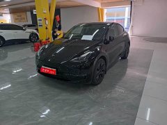 Tesla Model Y Long Range All-Wheel Drive - ფოტო 1