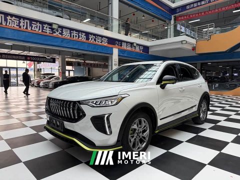 2022 Haval Chitu Jingxiang Edition 1.5T Purple Copper Rabbit - ავტომობილი ჩინეთიდან