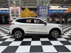 Haval Chitu Jingxiang Edition 1.5T Purple Copper Rabbit - ფოტო 4