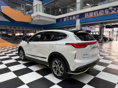 Haval Chitu Jingxiang Edition 1.5T Purple Copper Rabbit - ფოტო 7