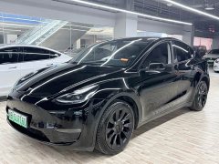 Tesla Model Y Long Range All-Wheel Drive - ფოტო 1