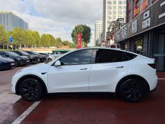 Tesla Model Y Rear-Wheel Drive - ფოტო 3