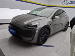 Tesla Model Y Standard Range RWD - ფოტო 1