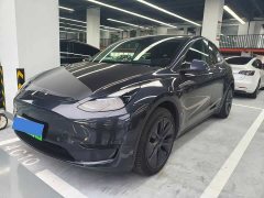 Tesla Model Y Rear-Wheel Drive - ფოტო 1