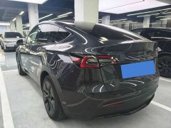 Tesla Model Y Rear-Wheel Drive - ფოტო 10