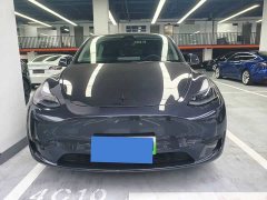 Tesla Model Y Rear-Wheel Drive - ფოტო 2