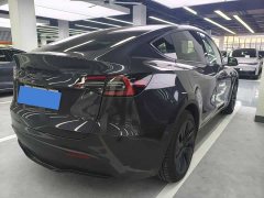 Tesla Model Y Rear-Wheel Drive - ფოტო 8