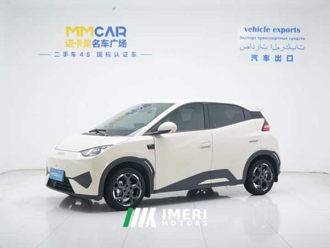 2025 BYD Seagull 305km Freedom Edition