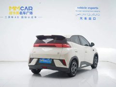 BYD Seagull 305km Freedom Edition - ფოტო 3