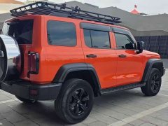 Tank 300 Off-Road Edition 2.0T Conqueror - ფოტო 6