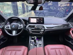 BMW 5 Series 530Li Premier M Sport Package - ფოტო 8