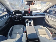 Geely Xingrui 2.0T Diesel Premium Edition - ფოტო 6