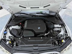 BMW 3 Series 320Li M Sport Package - ფოტო 14