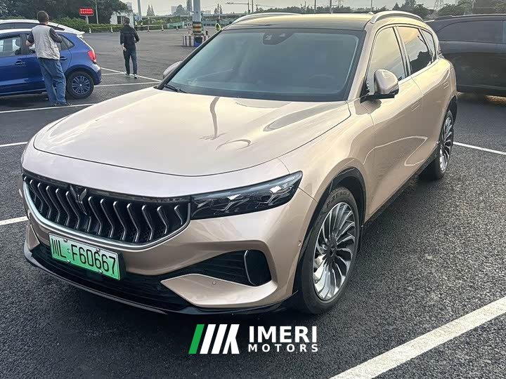 Voyah Lantu FREE 2021 Four-Wheel Drive Standard Extended Range Exclusive Luxury Package - ავტომობილი ჩინეთიდან