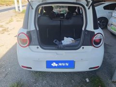 Changan Lumin 2023 205km Xiangqin Edition - ფოტო 4