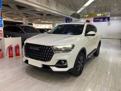 Haval H6 National Trend Edition 1.5T Automatic Urban Version - ფოტო 1