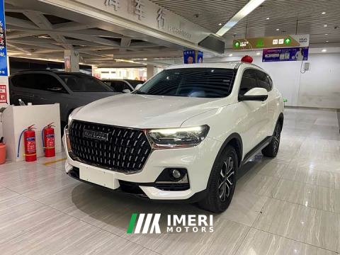 2023 Haval H6 National Trend Edition 1.5T Automatic Urban Version