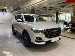 Haval H6 National Trend Edition 1.5T Automatic Urban Version - ფოტო 3