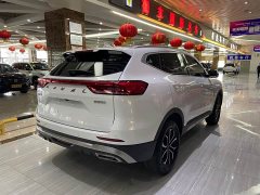 Haval H6 National Trend Edition 1.5T Automatic Urban Version - ფოტო 6