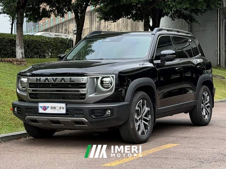 Great Wall Dachshund 2024 1.5T DCT Border Collie Edition - ავტომობილი ჩინეთიდან