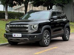 Great Wall Dachshund 2024 1.5T DCT Border Collie Edition - ფოტო 1