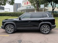 Great Wall Dachshund 2024 1.5T DCT Border Collie Edition - ფოტო 3