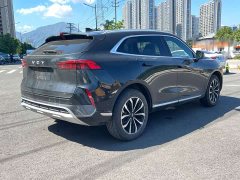 Great Wall Wei Brand Mocha 2021 2.0T Two-Wheel Drive Rich Edition - ფოტო 6