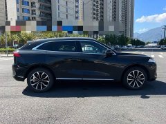 Great Wall Wei Brand Mocha 2021 2.0T Two-Wheel Drive Rich Edition - ფოტო 8